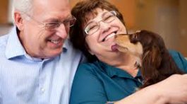 House Sitters Sydney