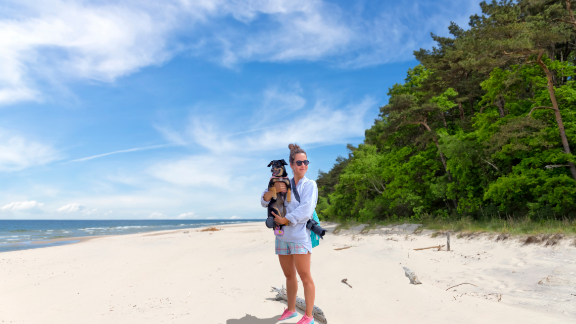 Beach holidays with dogs
