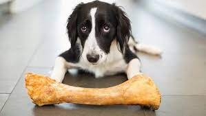 Dog bone