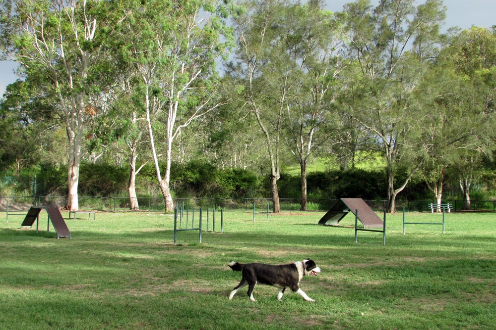 colmslie-dog-park