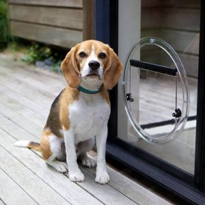 Dog-Door