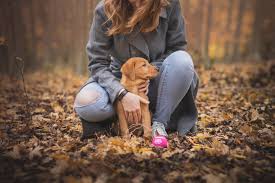 Benfits of pet sitters