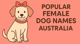 female dog names